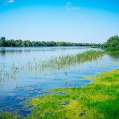 Рыболовная база Наша Фазенда, Камызякский район, Астраханская область