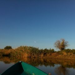 Рыболовно-охотничья база Донгар, Икрянинский район, Астраханская область