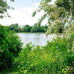 Рыболовная база Наша Фазенда, Камызякский район, Астраханская область