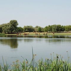 Гостевой дом Радуга, Камызякский район, Астраханская область