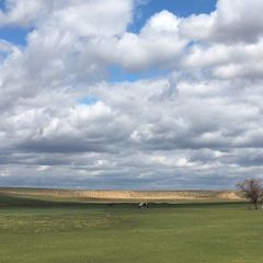 Рыболовная база Золотой плав, Харабалинский район, Астраханская область