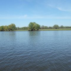 Рыболовная база Золотой плав, Харабалинский район, Астраханская область