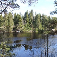 База отдыха Алавойне, Олонецкий район, Республика Карелия