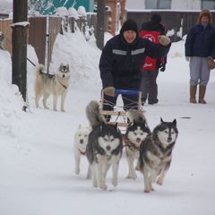 База отдыха Дивные хаски, Дивногорск, Красноярский край