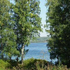 База отдыха Фестивальная поляна, Шарыповский район, Красноярский край