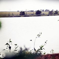 База отдыха Чистые пруды, Изобильненский район, Ставропольский край