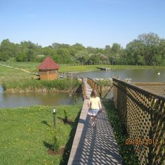 Гостевой дом Русь, Гусевский район, Калининградская область