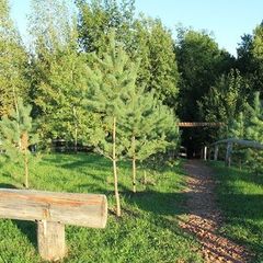 Гостевой дом Русь, Гусевский район, Калининградская область