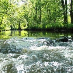Гостевой дом Русь, Гусевский район, Калининградская область
