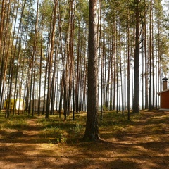 Усадьба Дивная, Нытвенский район, Пермский край