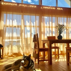 Гостевой дом Робинзон, Медвежьегорский район, Республика Карелия