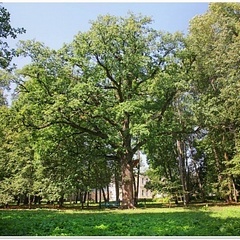 База отдыха  Санаторий «Слободка» , Воловский район, Тульская область