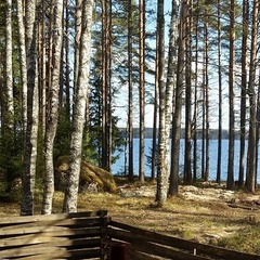 База отдыха Black Fox, Выборгский район, Ленинградская область