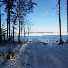 База отдыха Black Fox, Выборгский район, Ленинградская область