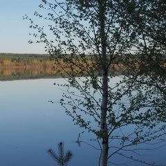 Усадьба Дивная, Нытвенский район, Пермский край