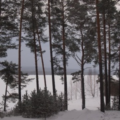 Усадьба Дивная, Нытвенский район, Пермский край
