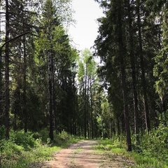 Центр активного отдыха Комёла, Грязовецкий район, Вологодская область