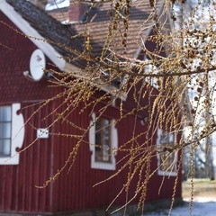 Усадьба Ларса Сонка, Лахденпохский район, Республика Карелия