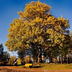 Загородный клуб Яркое, Приозерский район, Ленинградская область