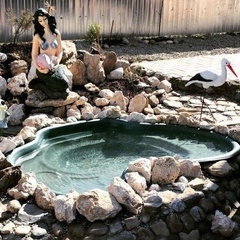 База отдыха Золотая рыбка, Мостовский район, Краснодарский край