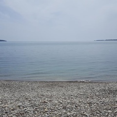 Отель Дарья, Геленджик, Краснодарский край