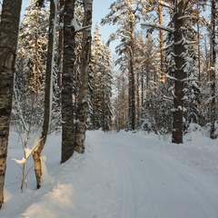 База отдыха Rukola, Лахденпохский район, Республика Карелия