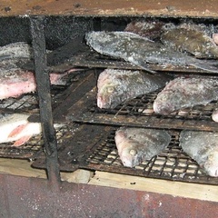 Рыболовная база База Шевалдаева, Колпашевский район, Томская область