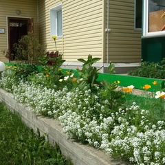 База отдыха У Потапыча, Березовский район, Красноярский край