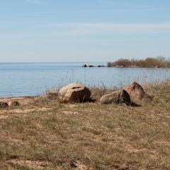 Гостевой дом Чудской, Гдовский район, Псковская область