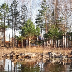 База отдыха  База отдыха «Белозерье» , Клепиковский район, Рязанская область