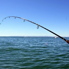 Гостевой дом Чудской, Гдовский район, Псковская область