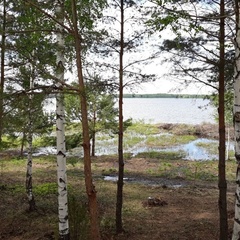 База отдыха  База отдыха «Белозерье» , Клепиковский район, Рязанская область