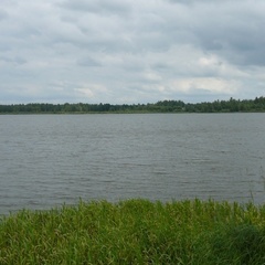 База отдыха  База отдыха «Белозерье» , Клепиковский район, Рязанская область