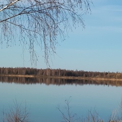 База отдыха  База отдыха «Белозерье» , Клепиковский район, Рязанская область