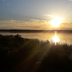 База отдыха  База отдыха «Белозерье» , Клепиковский район, Рязанская область
