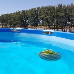 Гостевой дом  База отдыха «Гораль» , Кореновский район, Краснодарский край