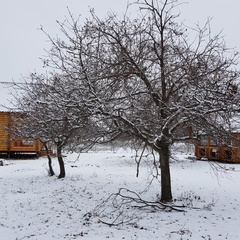 База отдыха Балалайка, Ахтубинский район, Астраханская область