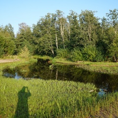 База отдыха Озерная 38, Приозерский район, Ленинградская область