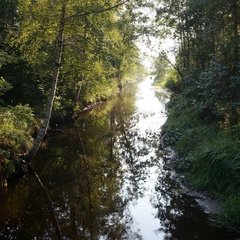 База отдыха Озерная 38, Приозерский район, Ленинградская область