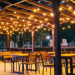 База отдыха Ёлки, Новоусманский район, Воронежская область