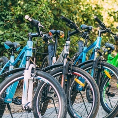 База отдыха Ёлки, Новоусманский район, Воронежская область