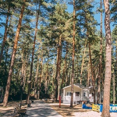 База отдыха Ёлки, Новоусманский район, Воронежская область