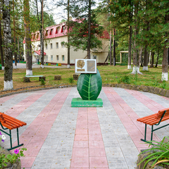 Санаторий Космонавт, Томский район, Томская область