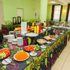 Санаторий Строитель, Бор, Тульская область