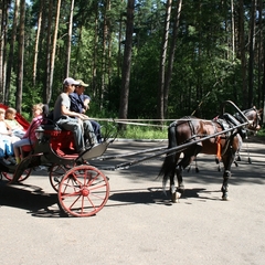 Санаторий-профилакторий Космос, Елабужский район, Татарстан