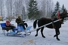 Новый источник. Развлечения в новом источнике Вологда. Санатории с иппотерапией и озеро.