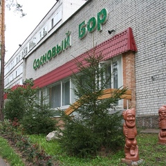 Санаторий Сосновый бор, Димитровград, Ульяновская область