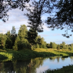 Санаторий Сосновый Бор, Гаврилов-Ямский район, Ярославская область