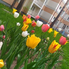 Санаторий Ясные зори, Ярославль, Ярославская область