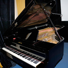 Санаторий имени Горького, Щелковский район, Московская область